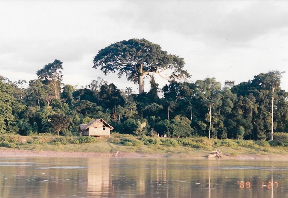 Reservas Extrativistas - IEA - Instituto de Estudos Amazônicos