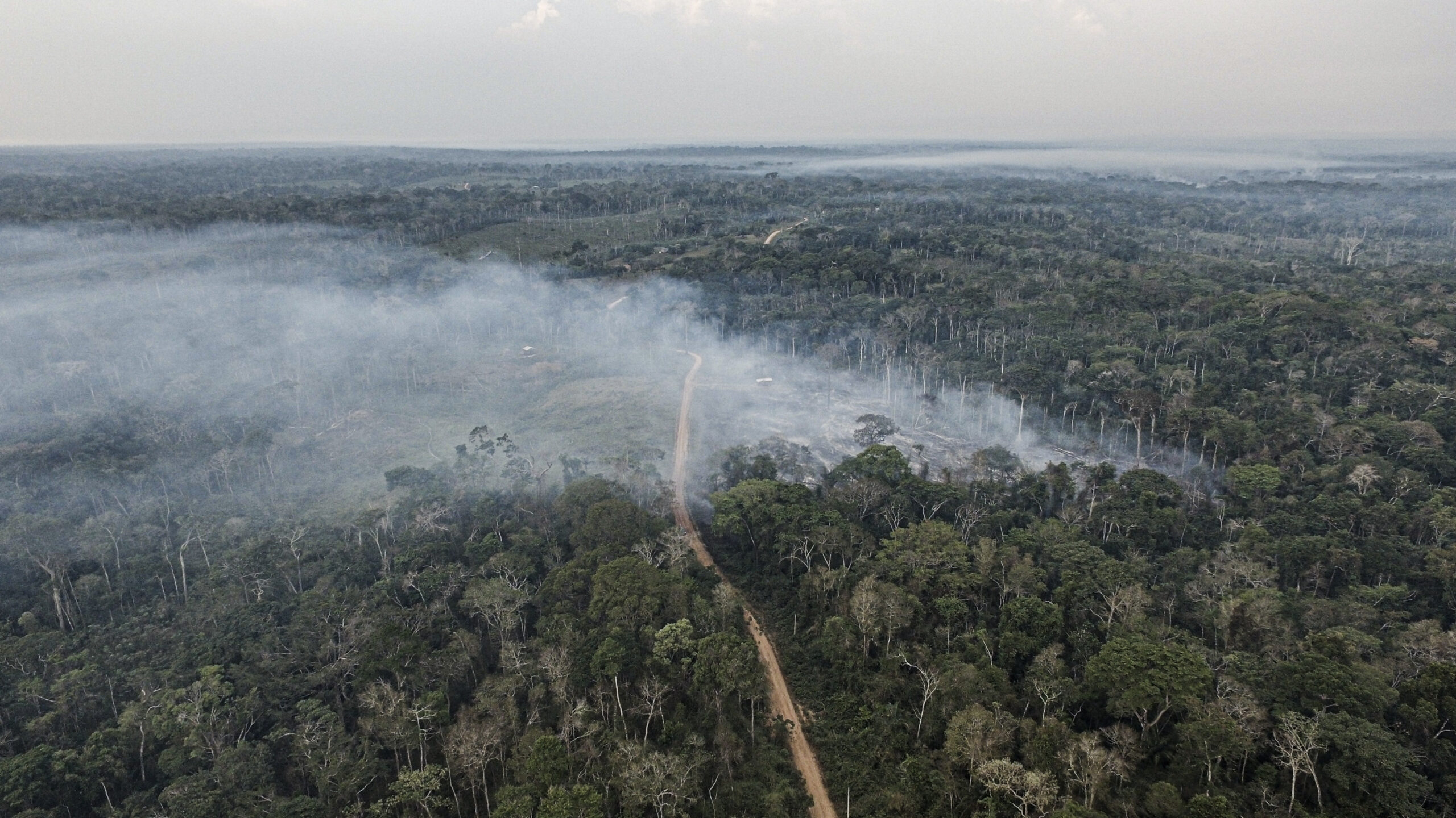 Região Amacro está entre líderes de desmatamento em 2024, mostra Imazon ...