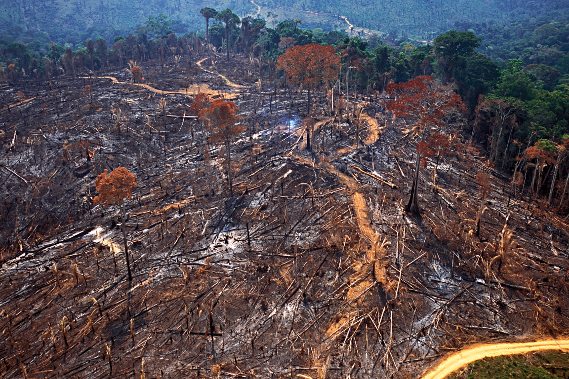 Maioria do desmatamento na Amaz&ocirc;nia ocorreu sem autoriza&ccedil;&atilde;o, aponta estudo  - IEA - Instituto de Estudos Amaz&ocirc;nicos